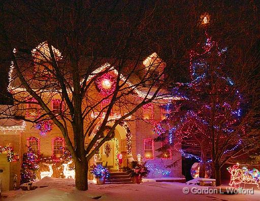 Christmas Lights_12075.jpg - Photographed at Ottawa, Ontario - the capital of Canada.